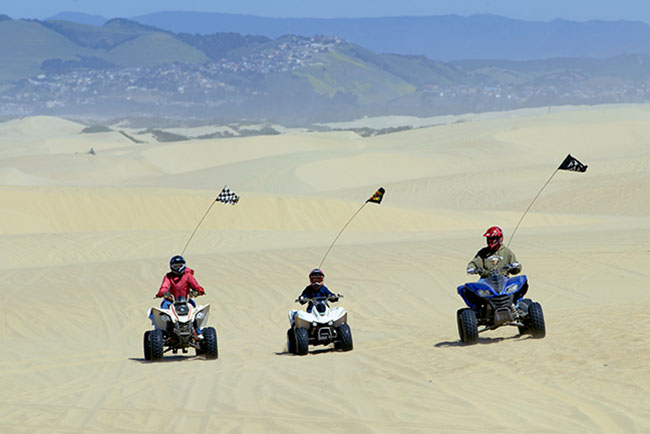 Family riding ATV's on the dunes